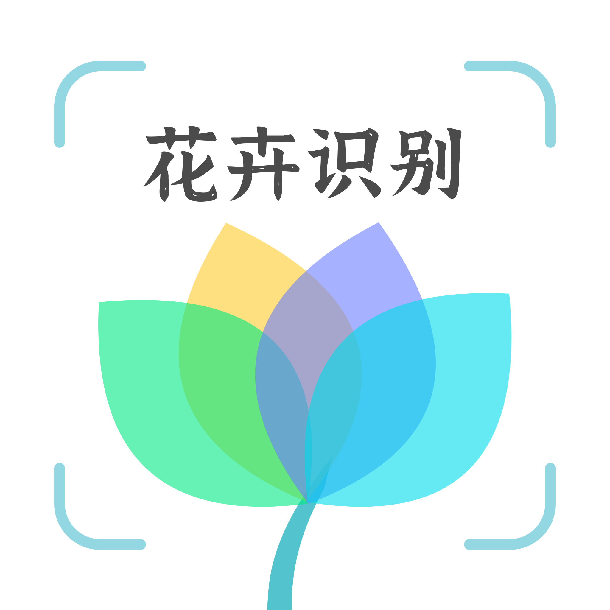 花卉识别-花卉识别v1.0.1安卓版APP下载