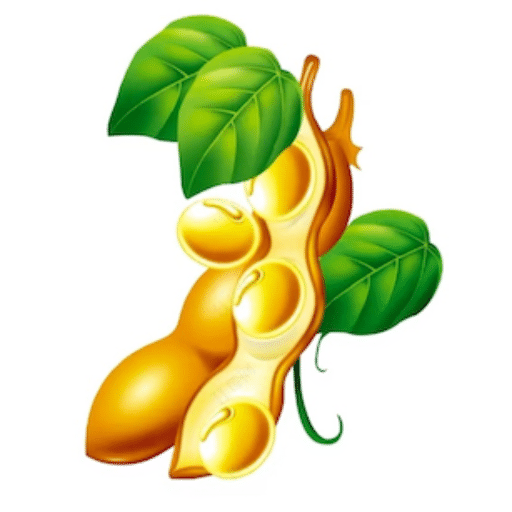 豆角-豆角v1.0.1安卓版APP下载