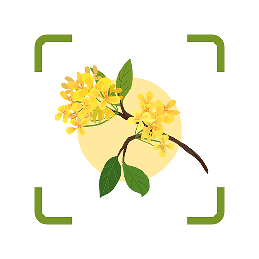 plantae-plantaev1.1安卓版APP下载