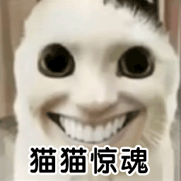 猫猫惊魂-猫猫惊魂v1.1安卓版APP下载