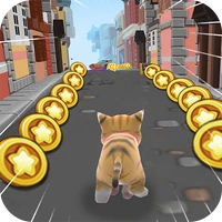 猫咪跑酷飞行冒险-猫咪跑酷飞行冒险v1.0安卓版APP下载