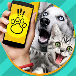 动物语言翻译机-跟宠物对话小游戏-动物语言翻译机-跟宠物对话小游戏v1.0安卓版APP下载