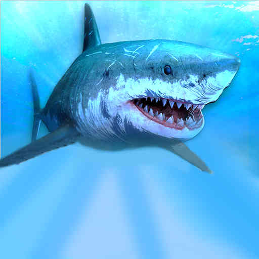 海上求生-海上求生v317安卓版APP下载