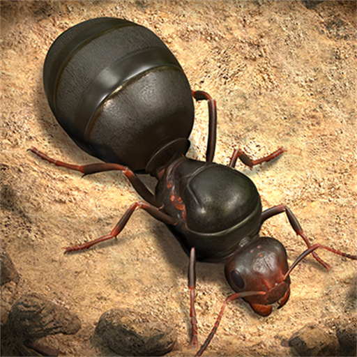 蚂蚁进化崛起-蚂蚁地下王国-蚂蚁进化崛起-蚂蚁地下王国v1.0.5安卓版APP下载