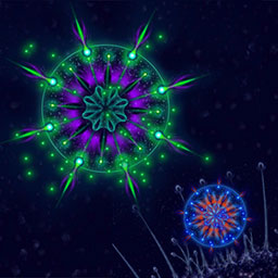 微生物进化世界-超级细菌大战-微生物进化世界-超级细菌大战v1.2安卓版APP下载