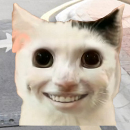 拯救小宠物-救助小猫咪-拯救小宠物-救助小猫咪v1.0安卓版APP下载