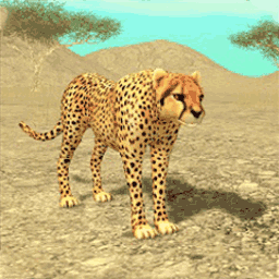 荒野猎豹模拟器-野兽捕猎模拟-荒野猎豹模拟器-野兽捕猎模拟v1.0安卓版APP下载