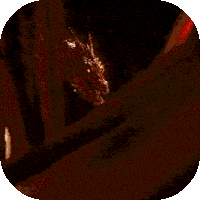 笑傲天龙（真3D爽爆版）-笑傲天龙（真3D爽爆版）v1.0.0安卓版APP下载