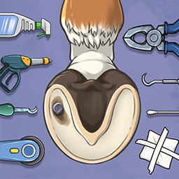 修脚高手模拟器-修马蹄修脚模拟器-修脚高手模拟器-修马蹄修脚模拟器v1.2安卓版APP下载