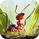 小小蚁国：超能蚁团-小小蚁国：超能蚁团v1.31.3安卓版APP下载