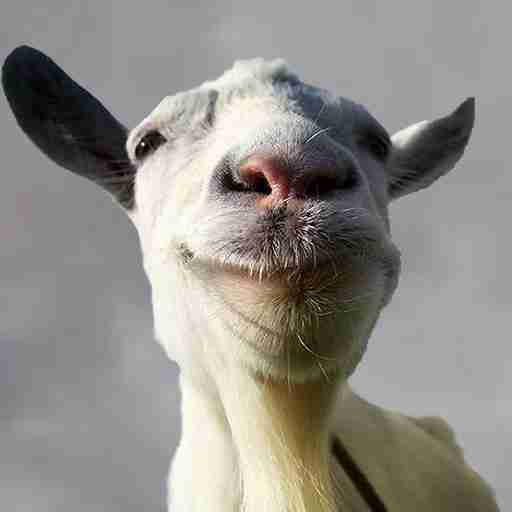 恐怖模拟山羊-恐怖模拟山羊v1.0安卓版APP下载