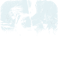 三国志名将传（无限制真充）-三国志名将传（无限制真充）v1.0.0安卓版APP下载