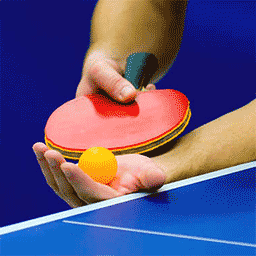 王者乒乓英雄-乒乓球大作战-王者乒乓英雄-乒乓球大作战v1.1安卓版APP下载