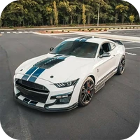 公路驾驶挑战-公路驾驶挑战v189.1.1.3018安卓版APP下载