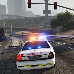 城市街头赛车-警车驾驶模拟器-城市街头赛车-警车驾驶模拟器v300.1.0.3018安卓版APP下载