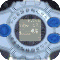 小黑的宝藏（送GM30万充）-小黑的宝藏（送GM30万充）v1.2.003安卓版APP下载