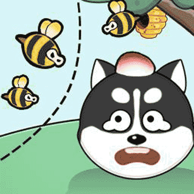 画线小能手-狗狗救助站-画线小能手-狗狗救助站v1.00安卓版APP下载