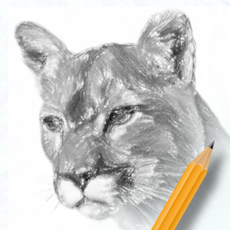 素描绘画入门教程-素描绘画入门教程v2.1.2安卓版APP下载