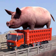 天天驾驶-天天驾驶v1.0安卓版APP下载