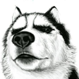 苟旦记账-苟旦记账v1.0.0安卓版APP下载