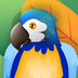 孤独的鸟儿-孤独的鸟儿v4.0.0安卓版APP下载