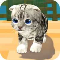 萌猫公园-萌猫公园v1.0.0安卓版APP下载
