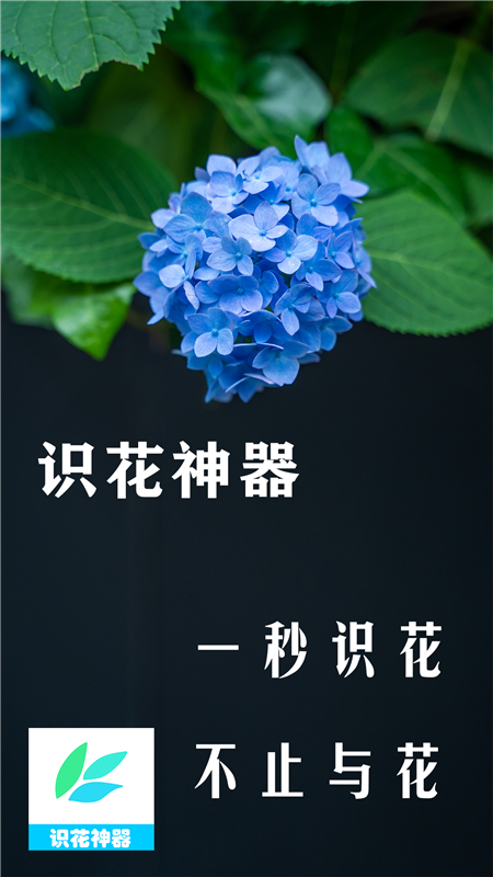 拍照识物最强软件有哪些-拍照识物软件app整理推荐