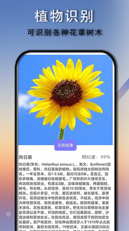 自动识别多少字的软件有哪些-可以识别文字的app下载整理推荐