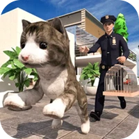 极速流浪猫-极速流浪猫v2.0.0安卓版APP下载