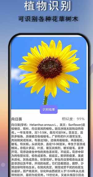 植物识别软件下载哪些-植物识别app整理推荐