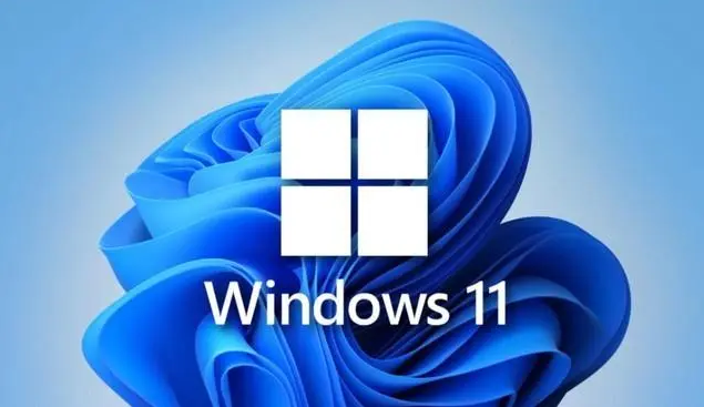 Windows11升级工具 v1.1下载