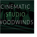 Cinematic Studio Woodwinds v1.68