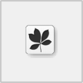 LOL取长名免费工具2020 v2.48