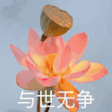 摸鱼锁(窗口自动隐藏) v1.4