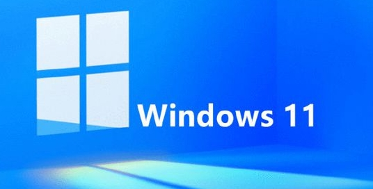 Windows11SysCheck升级检测工具 v1.3下载