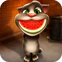 怪猫胡安-怪猫胡安v1.0安卓版APP下载