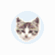 EF File Catalog v20.07-EF File Catalog v20.07免费下载