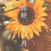 11月文案说说 v1.6