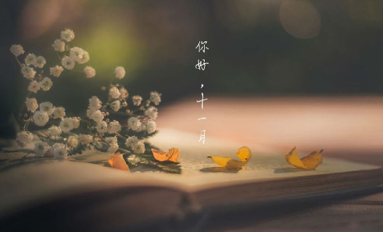 十一月图片大全 v1.3下载