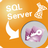 MsSqlToAccess(MSSQL转Access工具) v3.9-MsSqlToAccess(MSSQL转Access工具) v3.9免费下载