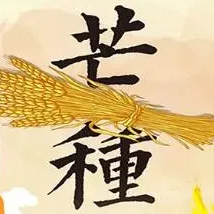 芒种节气手抄报图片素材 v1.4