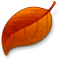 秋落叶时间同步器 v2.4