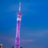 蓝湖设计文档下载软件 v1.2