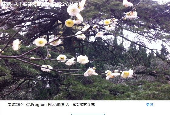 雨滴人工智能监控 v2024