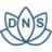 YogaDNS(DNS安全工具) v1.29