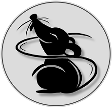 Thief32位/64位绿色版 v4.0.3