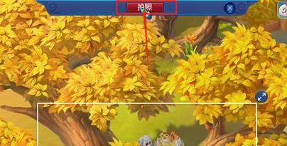 爱鸭鸭活动怎么玩