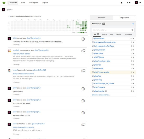 Gitea(Git托管服务) v1.12.5截图 Gitea(Git托管服务) v1.12.5-Gitea(Git托管服务) v1.12.5免费下载