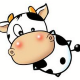 小牛yy多开器 v1.0.5-小牛yy多开器 v1.0.5免费下载