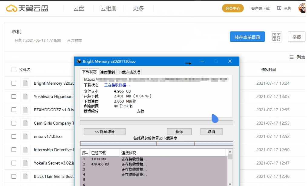 雷利子(天翼网盘下载工具) v0.3.9下载